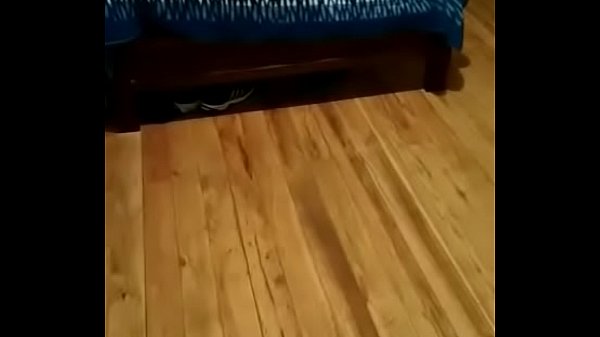 Al gordo le gusta cogercomo perro