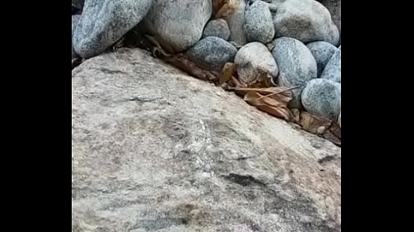 Mij&atilde_o na praia de Abrico