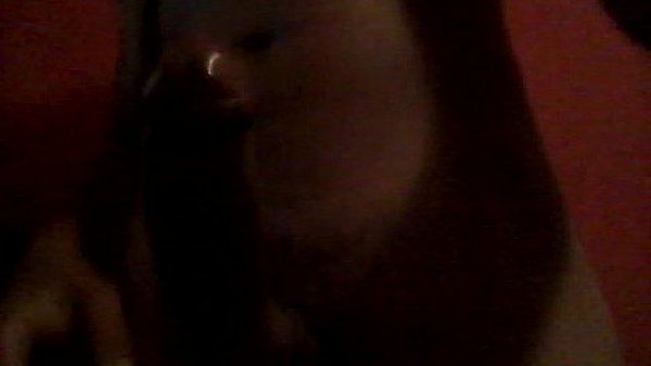 Nonton 20160930 223032 thumbnail