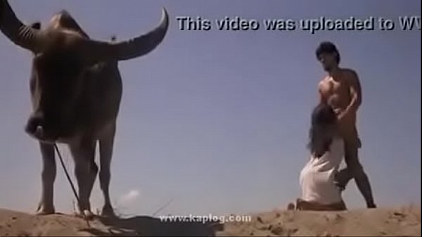 Sex in dessert Anyone knows the moovie name