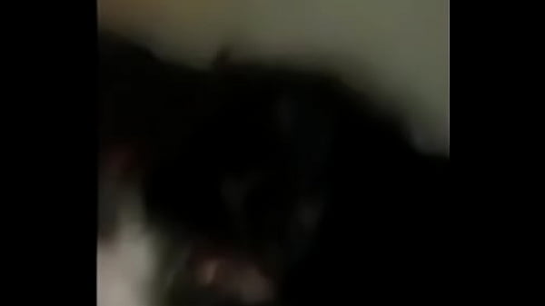 Play MP4 - BBC Party in her Mouth