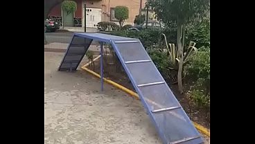 Perro Pendejo No Se Quiere Subir Porque Al Wey Le Da Miedo thumbnail