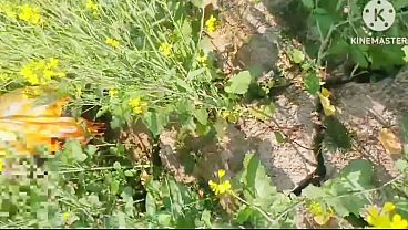 Desi village girl tight pussy fuck in jungle beautiful indian desi village girl sex in jungle