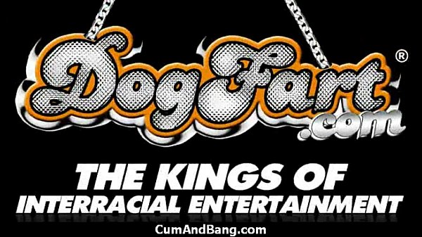 Black ChickBlows Group of_White Cocks 11