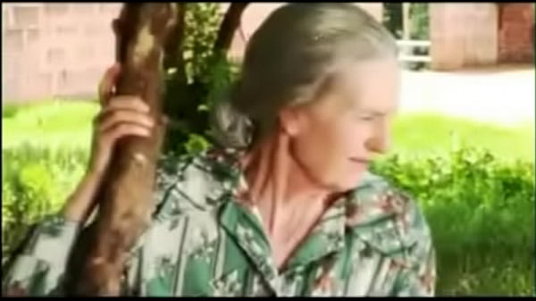 Afrikaners is plesierig en spyker mekaar en het ander dinge wat snaaks is 