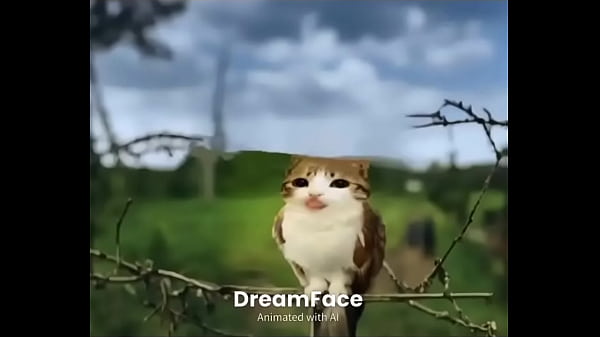 Nonton Un Momazo thumbnail