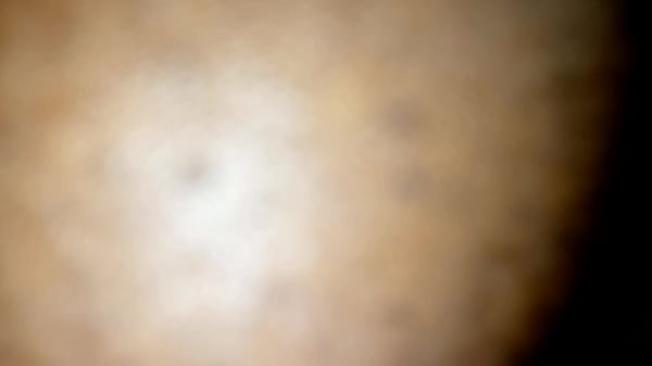 Play MP4 - Fulfilled