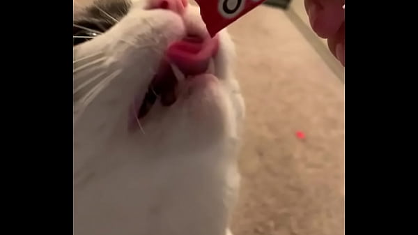 Nonton Balls thumbnail