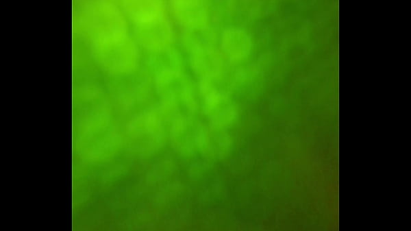 Nonton КАК ОН ПОМЕСТИЛСЯ В НЕЕ НЕВЕРОЯТНО ЭТО НАДО ВИДЕТЬ thumbnail