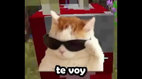 Usuario promedio de la comunidad del emi212