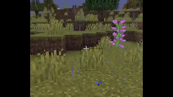 Usuario promedio de la comunidad del emi212 