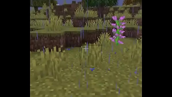 Usuario promedio de la comunidad del emi212