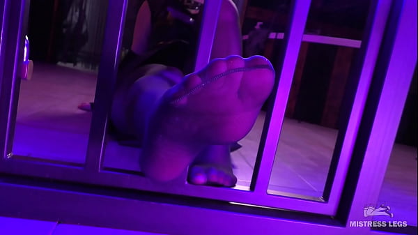 POV Mistress nylon feet worship
