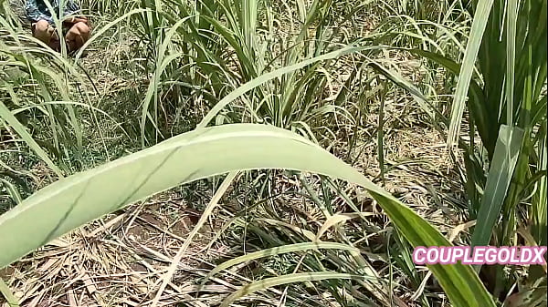 Play MP4 - कोमल खेत में मूत रही थी कि मालिक ने चुपके से आकर बैठ कर घर ले गए