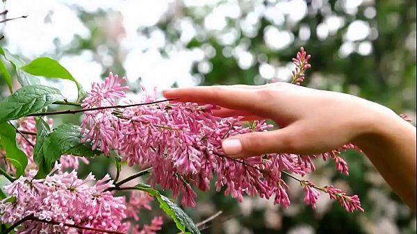 Nonton 2014-06-23 Adayn - Summer Colors thumbnail