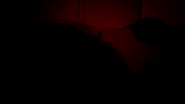 Nonton Chubby Mexican Sur Duck In Big White Dick thumbnail