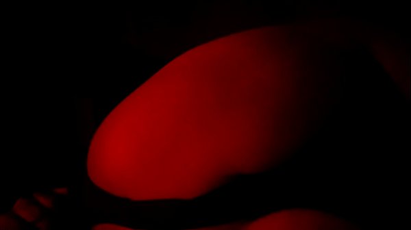 Chubby Mexican Sur Duck in Big White_Dick