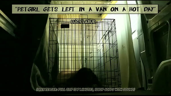 Petgirl gets left in a van on a hot day 