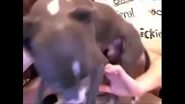 Awesome teen spreading perfect pussy on closeup 