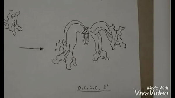 Jjba: Cana The Slave Of Dio Are So Horny thumbnail