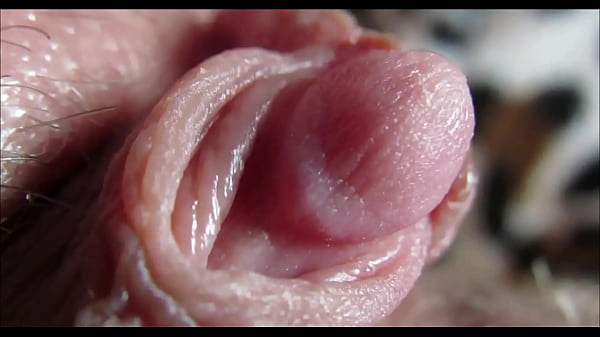 Play MP4 - big clit orgasm closeup