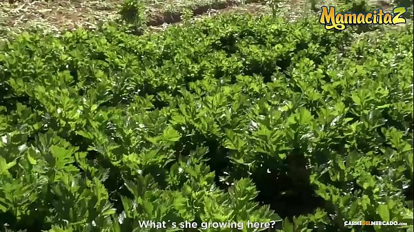 Play MP4 - CARNE DEL MERCADO - &num;Andreina De Luxe &num;Logan Salamanca - Big Booty Latina Teen Wants To Be A Pornstar