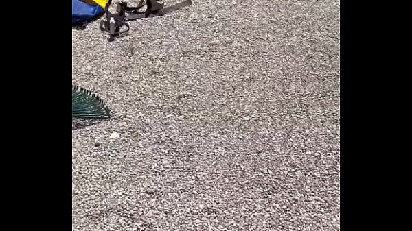 Nonton Story Public Defi &eacute;pisode 34 Saison 5 thumbnail