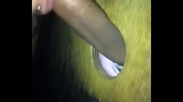 Play MP4 - cabine pau do neg&atilde;o