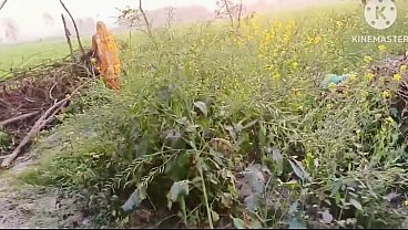 Bhabhi ko jungle mein le jakar chudai ki aur bhabhi ke munh mein cream bhi nikale hot bhabhi ki rasili chut ke liye