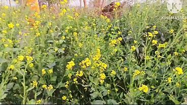 Bhabhi ko jungle mein le jakar chudai ki aur bhabhi ke munh mein cream bhi nikale hot bhabhi ki rasili chut ke liye