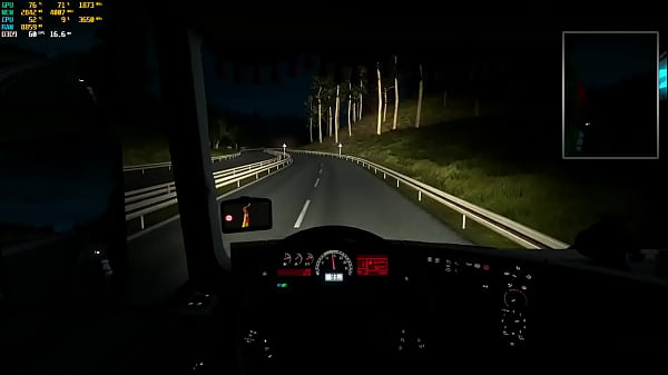 A cadela quer atenção