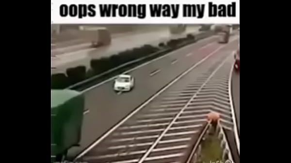 Nonton Car Balls thumbnail