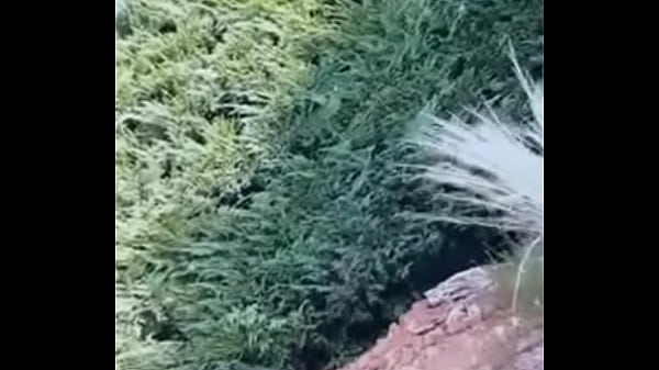 Красная девочка