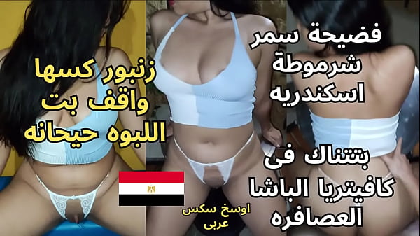 فيديو مسرب فضيحة سمر شرموطة اسكندريه بتتناك ف الكافيتريا الوسخه فاتحه رجليها و بيلعب ف زنبورها واقف حيحان بتقوله كسى كسى thumbnail