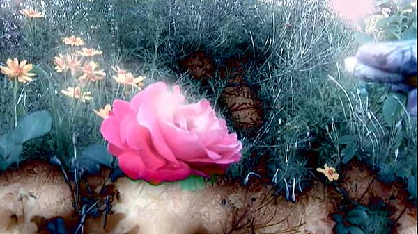 Play MP4 - Metro - Dymes 05 - scene 2