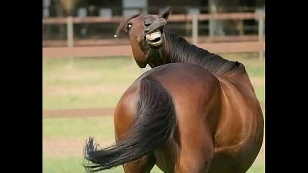 Play MP4 - Cursed images uwu