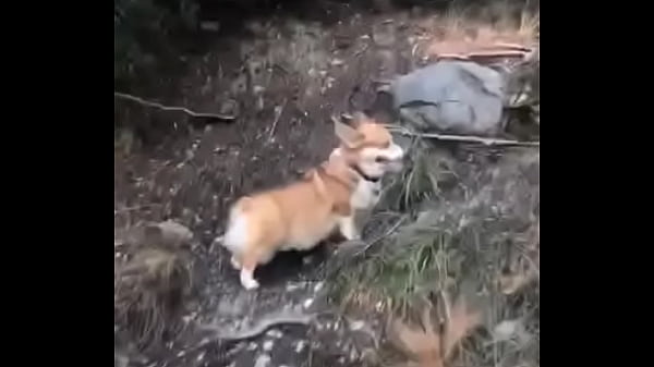 A good day!i like summer and sea )