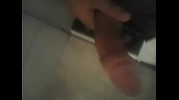 Homenagem a Vera Garret e Gatinhamolhada932