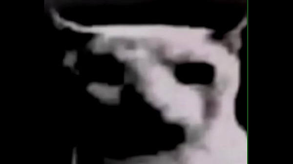 Que estoy haciendo con mi puta vida 