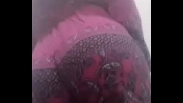 Novinha 