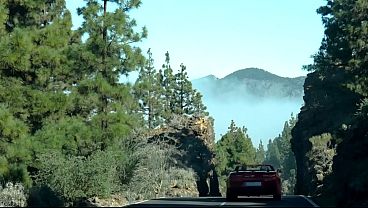 Candie and Alex around the world #5.2 Tenerife 