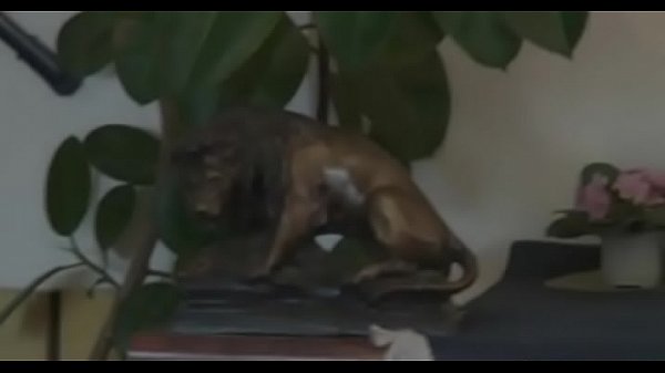 Nonton Filthy Katerina Sz Gets Her Tiny Poontang Screwed thumbnail