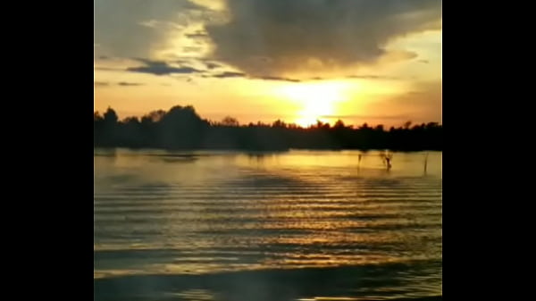 Video x&aacute_c minh
