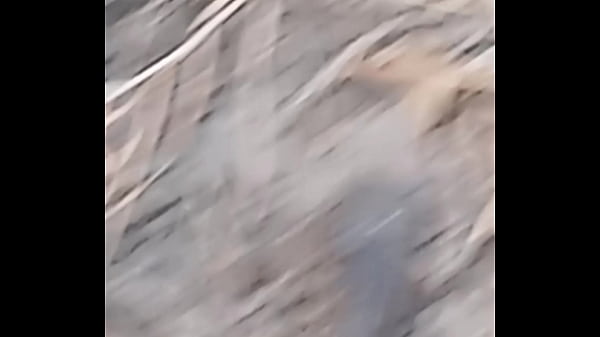 Peixe dano capa de deserte enquanto faz emote 