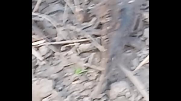 Peixe dano capa de deserte enquanto faz emote 