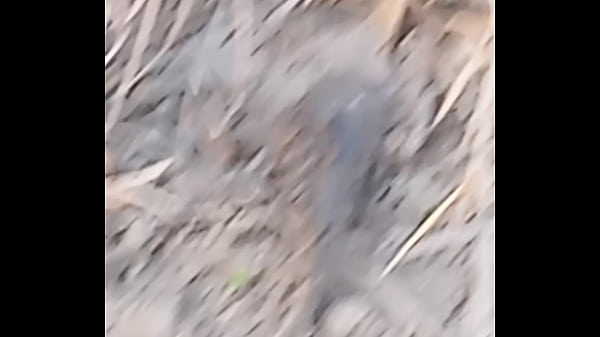 Peixe dano capa de deserte enquanto faz emote