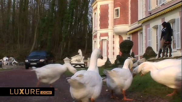 Play MP4 - Threesome lesbian and strap-on