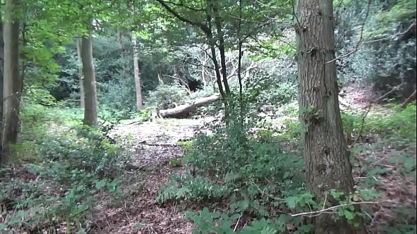 Play MP4 - Nearly caught wanking in wood