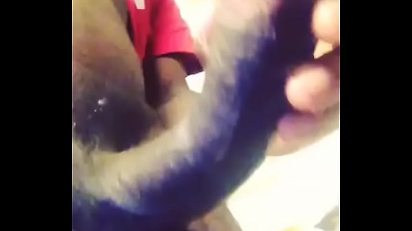 trim.A55D8F34-BA05-4C6F-A0AC-6ACAB76E99B4.MOV