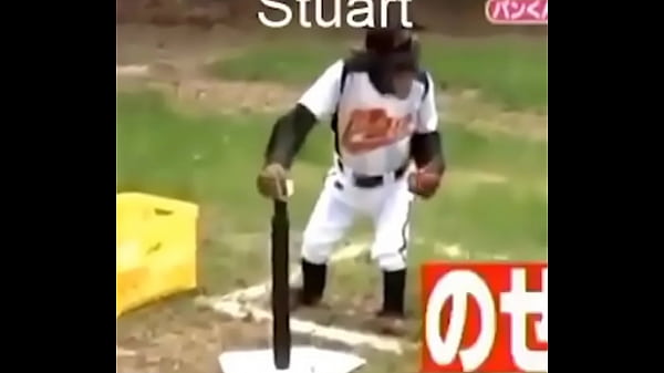 Macaco jogador de beiseball 